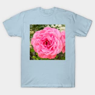 Rose T-Shirt